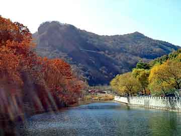 管家婆黑白马报图库，红松蜂胶